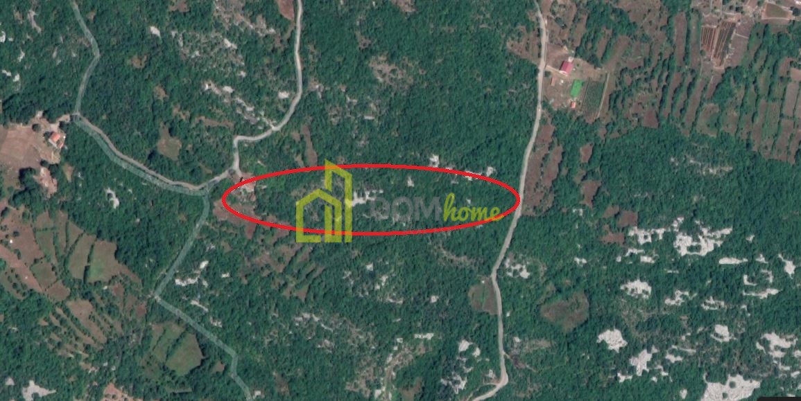 Plac 11000m2, Lješanska nahija